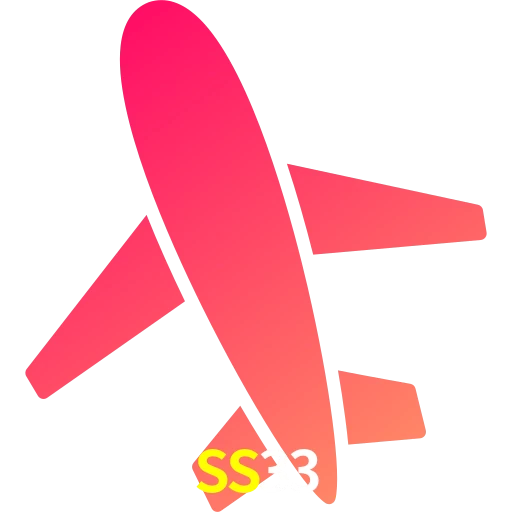 SS33