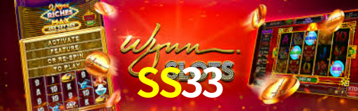 SS33