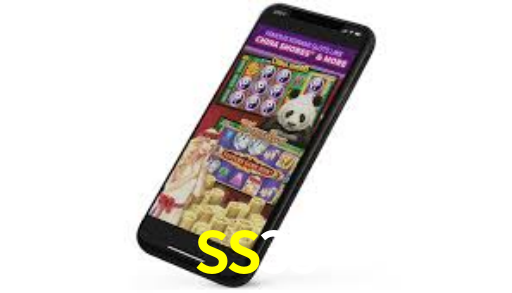 SS33