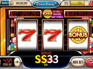 SS33