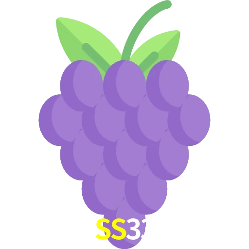 SS33