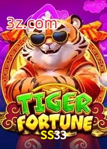 SS33